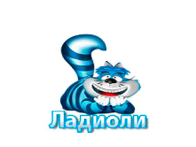 Ладиоли